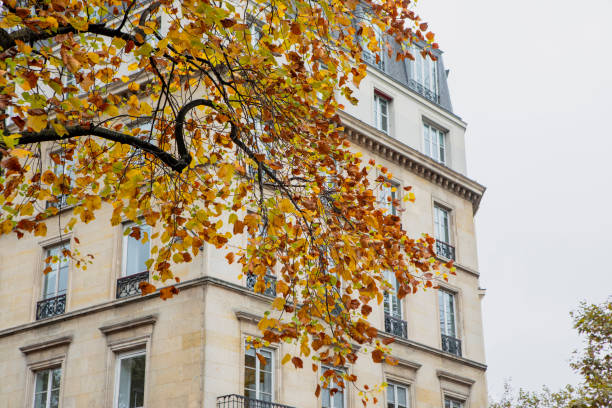 istock Paris apartment building and autumn tree 2184934601