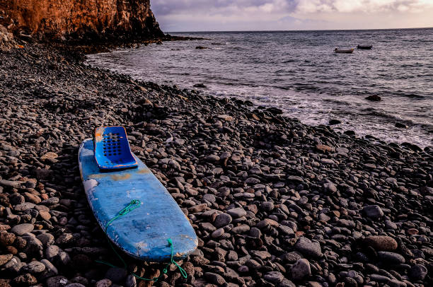 A young woman walks and carries a paddleboard.