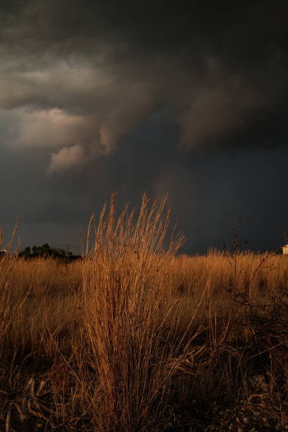 Where I live, the storms tend to just hang there and give a great show of clouds and lightning.