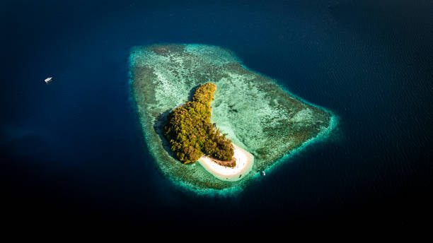 istock Islands, Raja Ampat, Indonesia 2184943034