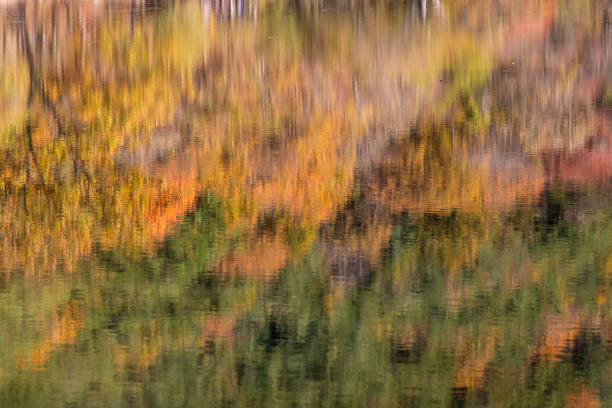 Autumn color reflection