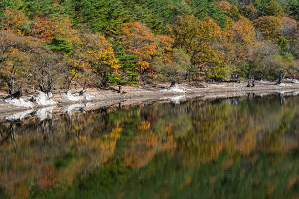 autumn landscape