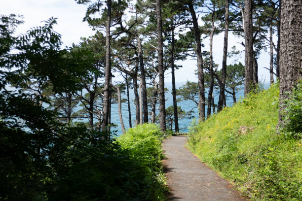 istock San Sebastian - Donostia, Spain 2184955226