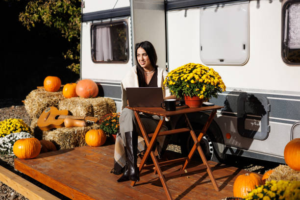 istock Young woman surfing the net on a computer while camping with a van in nature. 2184958785