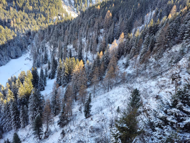 snow in the forest and mountains winter scenery on a sunny day