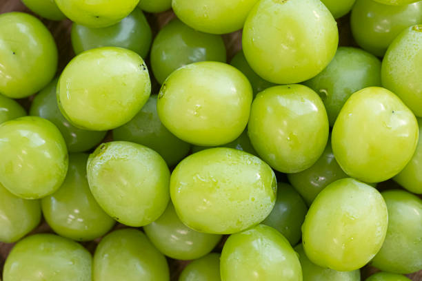 ''Grape''isolated on white background