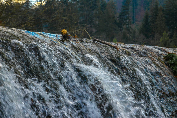 High water level on the Vistula River, water falling from the waterfall