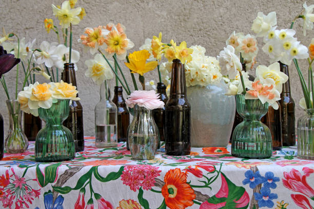 Different types of daffodils in small glass vases on a bright tablecloth.