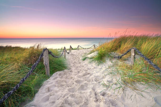 istock sandy way threw the dunes to the sea 2184967775