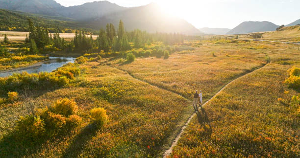 istock Aerial view of mature couple at fork in pathway 2184971752