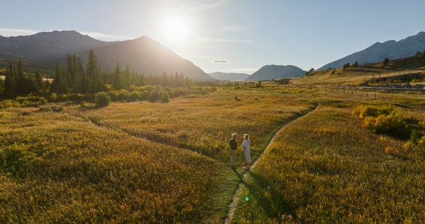Aerial view of mature couple at fork in pathway