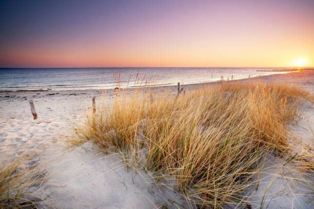 istock amazing sand dunes at the baltic sea 2184972399