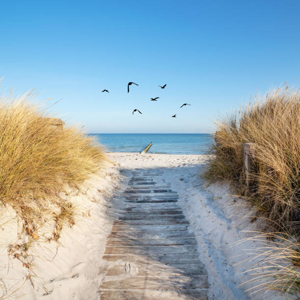 istock the way to the beach, dunes and sea 2184972419