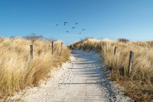 Sunset on the beach - wooden path, sea and cloudy sky on the background. Shot taken on the Curonian Spit in Kaliningrad region, Russia.