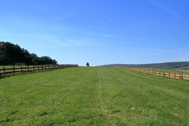 istock Green field with wooden fences. 2184973476