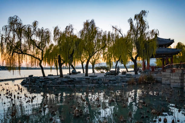 Tree lined lake at Yiheyuan  Summer Palace Park in Beijing