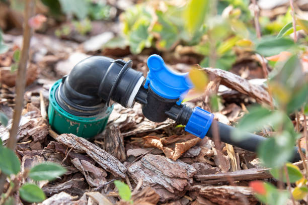 istock Drip irrigation system connector with blue control valve surrounded by wood mulch, incorporated into the garden bed for efficient watering. Close-up 2184976543