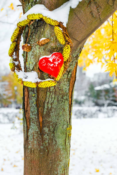 a tree in the park is decorated with a soft heart. place of love meeting. romantic place in the park. love is over. relationship crisis