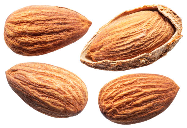 istock Set of four almond nuts isolated on white background. File contains clipping path. 2184982831