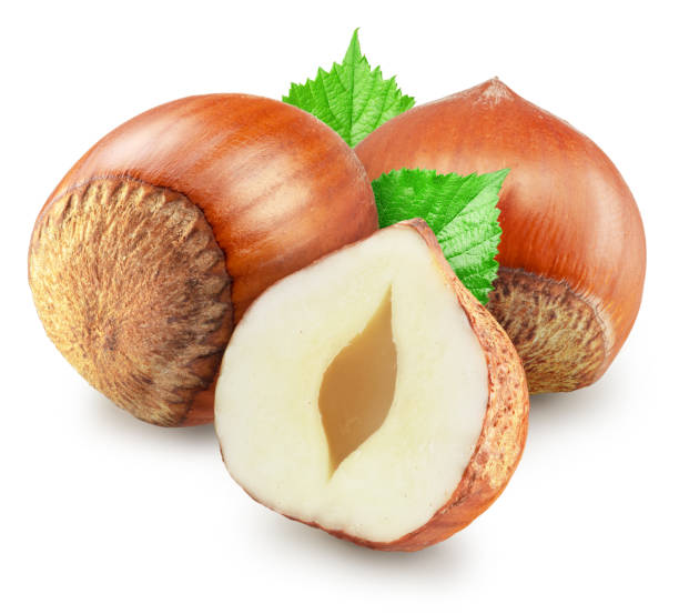 istock Hazelnuts, split of hazelnut kernel and green leaves on white background. Clipping path. 2184982990