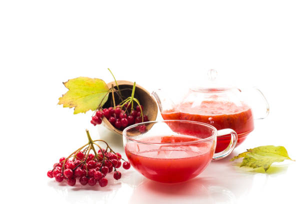 istock tea from ripe red viburnum isolated on white background 2184986366