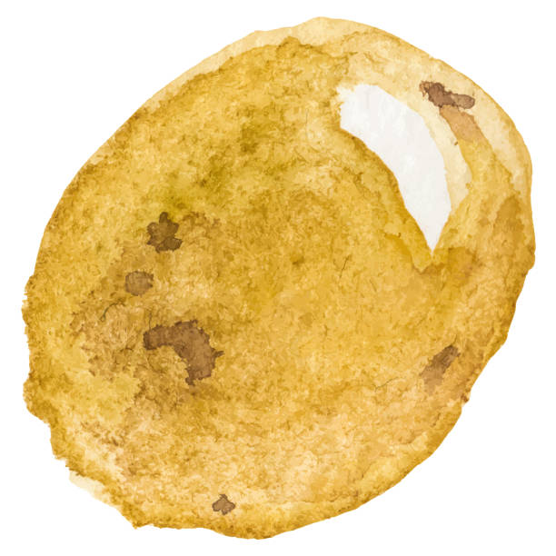 istock Watercolor painted potato. Hand drawn fresh food design element isolated on white background. 2184986862