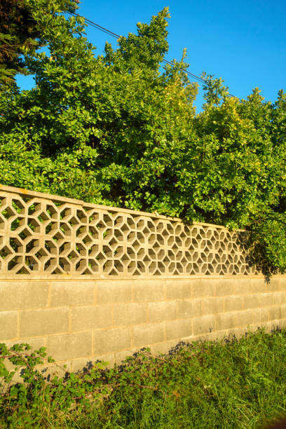 istock Concrete lattice in rural area 2184993050