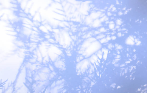 istock Winter Christmas blue background with fir branches 2184993055