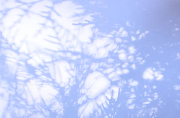 istock Winter Christmas blue background with fir branches 2184993057