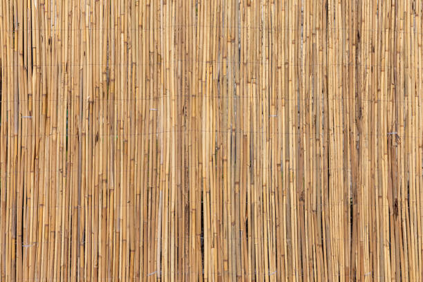 istock harmonic pattern of dried brown bamboo as fence background 2184994961