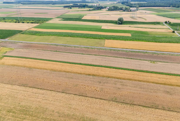 istock Aerial view of colorful patchwork fields showcasing various agricultural practices in rural areas. The vibrant greens, yellows, and browns create a stunning landscape. 2184997021