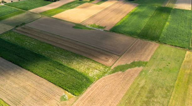 istock Aerial view of vibrant agricultural fields showcasing different crop patterns and colors. A perfect representation of farming and rural landscapes. 2184997137