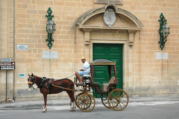 Valletta, Malta - June 17, 2005: Driver on his horse carriage, waiting for customers, in the city center