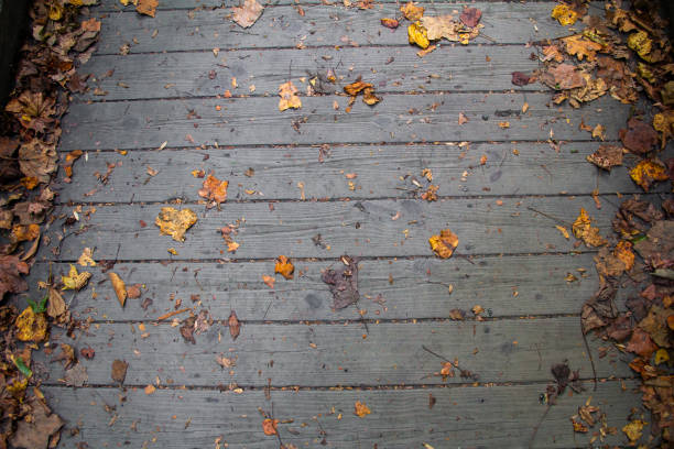 Wooden floor texture with dry leaves