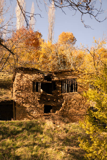 Dilapidated stone house stands in the woods, showing signs of decay amidst the autumn foliage