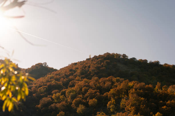 Sunlight illuminating a hill covered with colorful autumn trees
