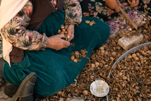 istock Elderly woman shelling walnuts, preserving tradition and livelihood 2185005041