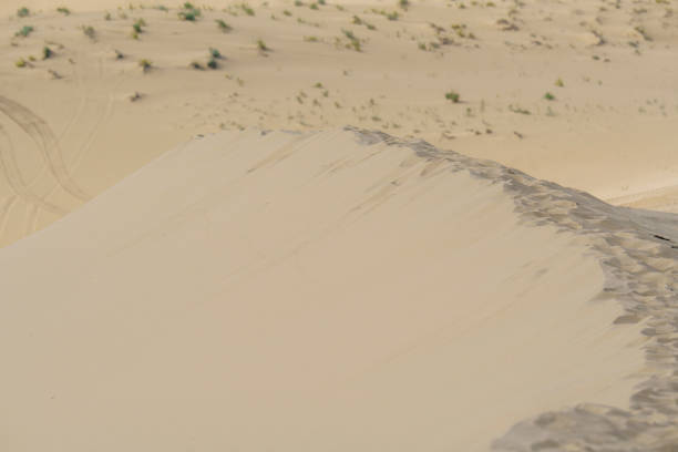 Golden desert dunes with sparse vegetation are illuminated by sunbeams breaking through a dramatic sky, creating a serene and awe-inspiring landscape with distant mountains.