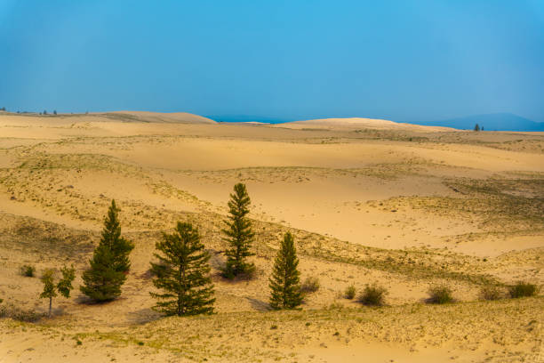 istock Sunbeams over desert dunes with tire tracks 2185005941