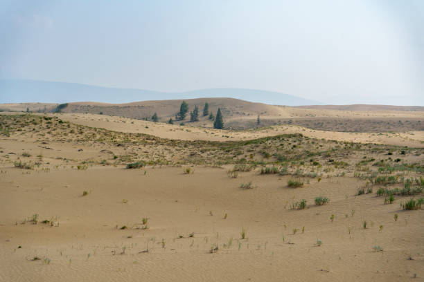 Golden desert dunes with sparse vegetation are illuminated by sunbeams breaking through a dramatic sky, creating a serene and awe-inspiring landscape with distant mountains.
