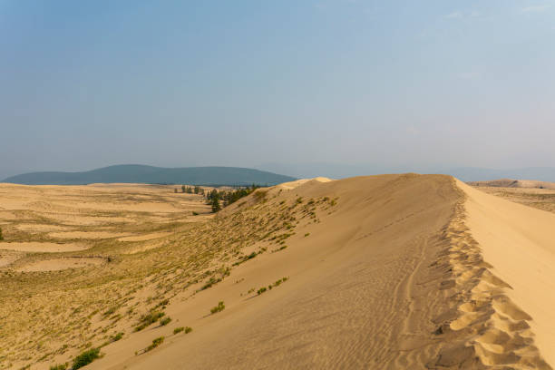 Golden desert dunes with sparse vegetation are illuminated by sunbeams breaking through a dramatic sky, creating a serene and awe-inspiring landscape with distant mountains.