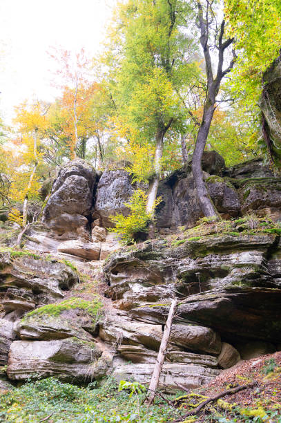 istock Mullerthal trail in Luxembourg between Echternach and Berdorf, hiking through a forest with sandstone rock formations 2185007022