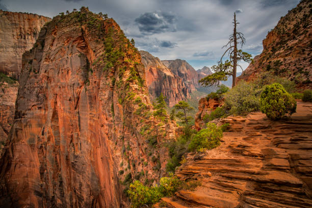 The narrow path along the hike to Angels Landing in Zion National Park, Utah.