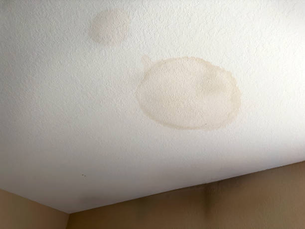 istock Roof leakage stain, water damaged stain on ceiling 2185018712