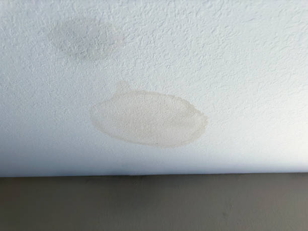 Roof leakage stain, water damaged stain on ceiling
