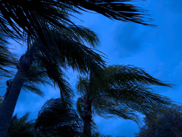 Spooky tropical storm in Florida