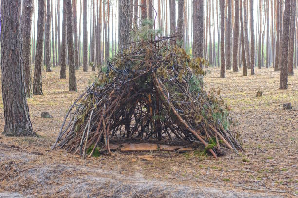 istock one empty hut made of gray green pine branches 2185019639
