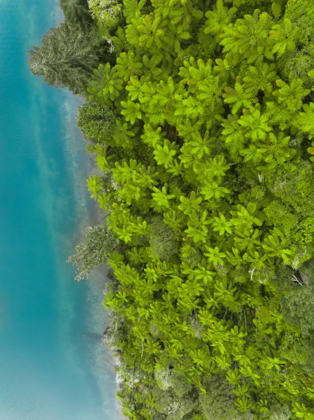 istock Green woods by blue lakes. 2185020053