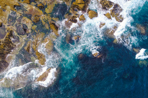 istock rocky shore from a zenithal view from a drone, aerial image for marine background concept 2185020269
