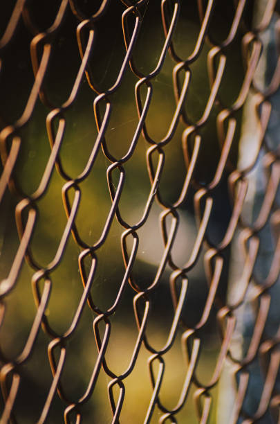 istock close-up view of a wire fence with blurred background 2185020306